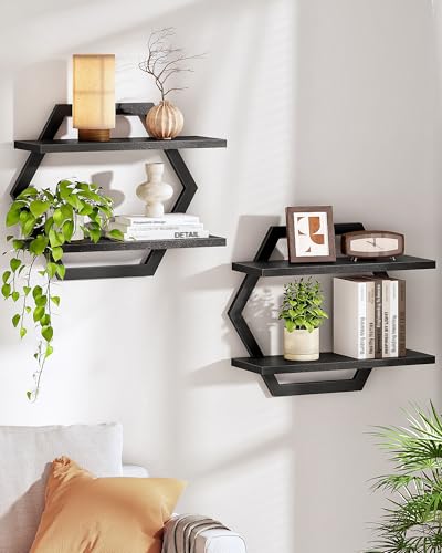 Hexagon Floating Shelves for Wall, Set of 2, 2 -Tier Hanging Shelves, Wall Mounted Storage Shelves, for Living Room, Bedroom, Kitchen, Home Office, Study, Black TBJ06P2BB - color: Black