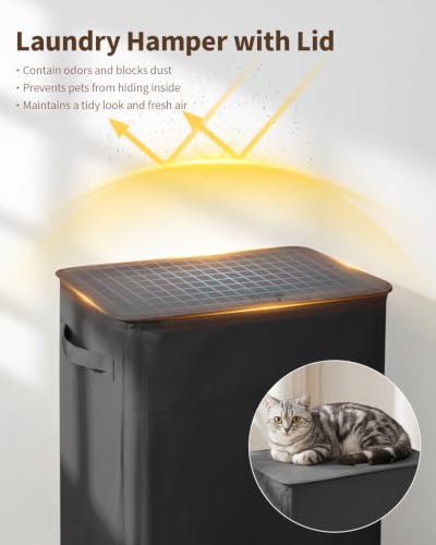85L Laundry Hamper with Lid, Large Clothes Hamper, Black | Foot Loop & Removable Bag Easy to Lift and Carry, Tall & Collapsible Laundry Basket for Bathroom, Bedroom, Laundry Room, Dorm - color: Black