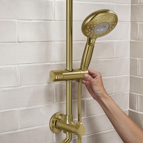 American Standard 24" Spectra Versa Shower System, Rain Head, Brushed Gold - color: Brushed Gold