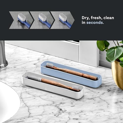 madesmart Drying Stone Toothbrush Tray, White | diatomite, fast drying surface, non slip feet, toothpaste floss, dental items, bathroom counter, woman owned - color: White