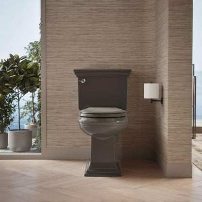 KOHLER 4639-RL-NY Cachet ReadyLatch Round Toilet Seat Soft Close, Thunder Grey (Pack of 2) - color: Thunder Gray, size: Round (Pack of 2)