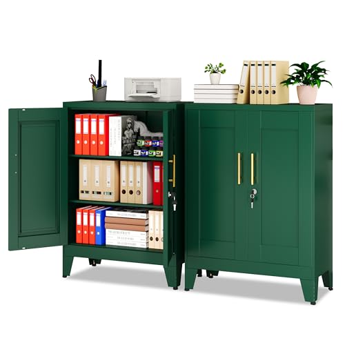 GAIOUS Green Metal File Cabinet with Lock(Two Units), Steel Storage Cabient | with 2 Doors and 2 Adjustable Shelves, Multifunctional Locked Cabinet for Home/Office/Garage/Tool Room, Accent Furniture - color: Green (Two Units), size: 13.78"D x 27.56"W x 35