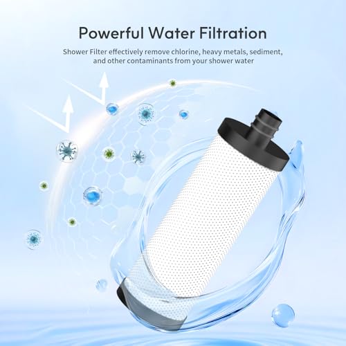 Lifefilter Carbon Shower Head Filter, 2.0 Carbon Shower Filter | Removes chlorine, heavy metals and other impurities from the water, improving dry skin and hair (2 Pack) - style: Carbon Replacement Filter