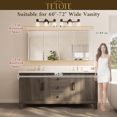 TETOTE 64 x 32 Medicine Cabinet with Tempered Beveled Mirror Silver Aluminum Cabinet DTC Hinges, Stepless Adjustable Shelves, Recessed/Surface-Mounted - color: Silver, size: 32"L x 64"W