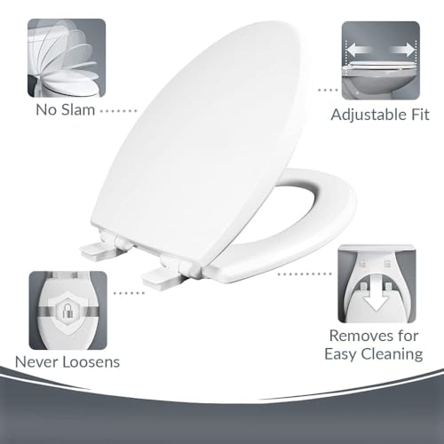 Mayfair Cassel Bidet Bundle, Slow-Close Never Loosen Toilet Seat with Perfect Fit, Fresh Water Spray, Non-Electric, Easy to Install Bidet, ELONGATED, White - size: Elongated, style: Bidet & Seat Bundle