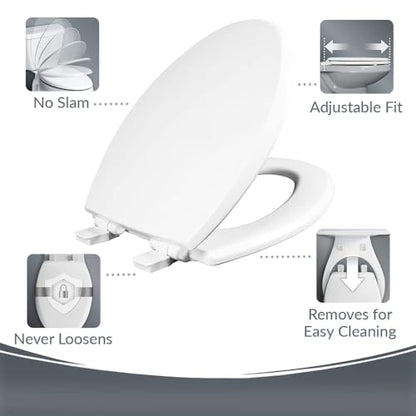 Mayfair Cassel Bidet Bundle, Slow-Close Never Loosen Toilet Seat with Perfect Fit, Fresh Water Spray, Non-Electric, Easy to Install Bidet, ELONGATED, White - size: Elongated, style: Bidet & Seat Bundle