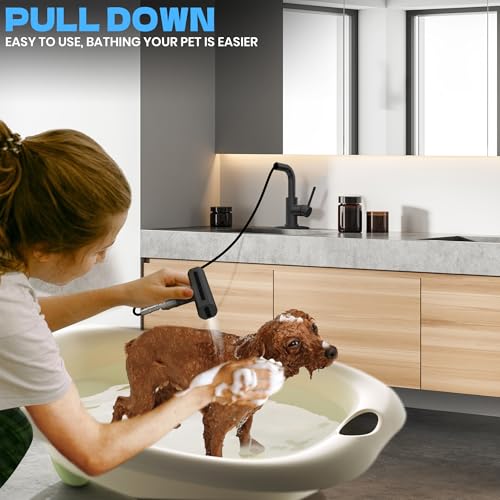 Matte Black Bathroom Sink Faucet with Pull Down Sprayer - 4 Mode Single Handle Vanity Faucet Waterfall Bathroom Faucet with Pull Down Sprayer (No Drain) - color: Black
