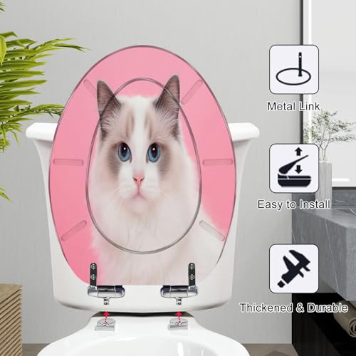 Elongated Toilet Seat Portrait beautiful purebred ragdoll cat blue eyes looking camera her Resin Toilet Seat Slow Quiet Close with Quick-Release Hinges Toilet Seat with Cover Easy to Clean Install - color: Multi7, size: 19.5"x14.5"