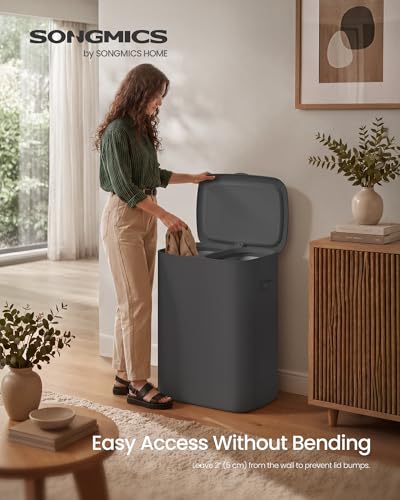 SONGMICS Laundry Basket with Lid, 42.2 Gallons, 2-Compartment Laundry Hamper with Handle, Removable Liner, Easy Assembly, 22 x 15.7 x 27.5 Inches, Slate Gray ULCB822B101 - color: Slate Gray