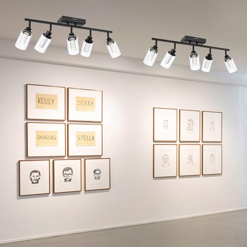 MELUCEE LED Ceiling Spotlight Kitchen Track Lighting Kits Black 5-Light | Bathroom Vanity Light Wall Mounted with Flexibly Rotatable Light Heads, Built-In LED Chips, 5-Color Temperature Adjustable - color: Black, size: 5 Lights