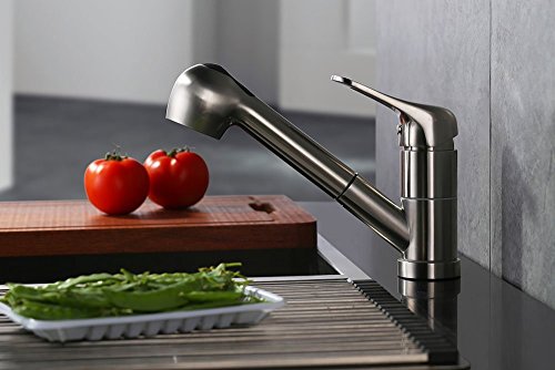 Stainless Steel Single Handle Pull Out Kitchen Faucet 1 Hole Kitchen Sink Faucet for Farmhouse, Camper, Laundry, Rv, Bar,EW-083L-BC