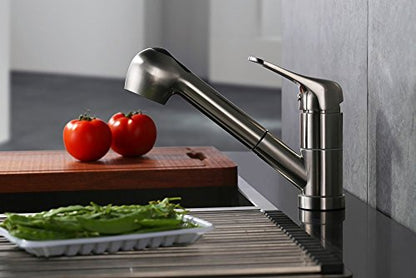 Stainless Steel Single Handle Pull Out Kitchen Faucet 1 Hole Kitchen Sink Faucet for Farmhouse, Camper, Laundry, Rv, Bar,EW-083L-BC