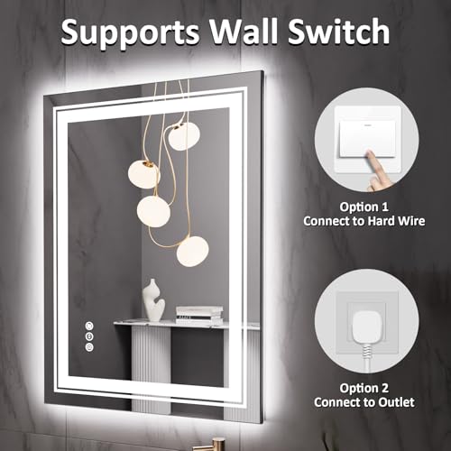 Snowdool 28 x 20 in LED Bathroom Mirror, Front and Backlit, Anti-Fog | Front and Backlit, Stepless Dimming, Anti-Fog, Memory Function - size: 28"L x 20"W