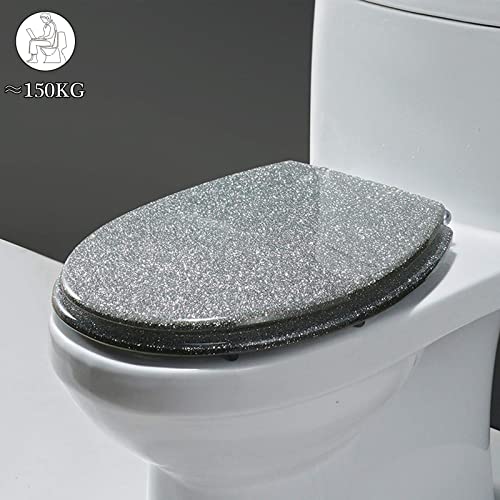 Black Quick Release Toilet Seat with 360 Degree Adjustable Hinge, Easy Clean, Oval Shape, Simple Top and Bottom Fixing - color: Silver