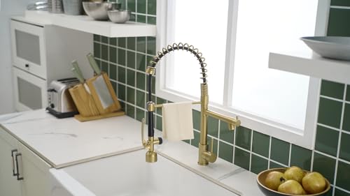 Fapully High Arc Brushed Gold Pull-Down Kitchen Faucet with LED Sprayer | Kitchen Sink Faucets with Pull Down Sprayer,Dual Spray Modes, Commercial Grade,Single Handle Single Hole Design - color: Brushed Gold, style: Modern