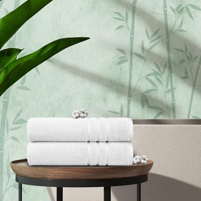 TRIDENT Eco-Twist Bamboo Bath Towels, Cotton-Viscose Blend, 2 PC Soft Towel | Viscose from Bamboo Blend - Silky Soft Texture - Fade Resistant - Low-Lint Construction - Perfect for Everyday Family Use - color: Silver
