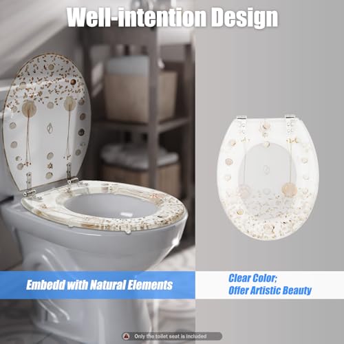Resin Toilet Seat Round Soft Close Quick Release Heavy Duty Toilet Seats with Clear Seashells Cover Acrylic Seats Ocean Series