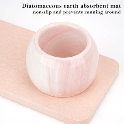 Ceramic Toothbrush Holder & Toothbrush Cup with Diatomite Tray for Bathroom, Bathroom Tumbler Cups Reusable Toothbrush Mouthwash Cup, Shower Counter Storage Organizer (Pink) - color: Pink Combination