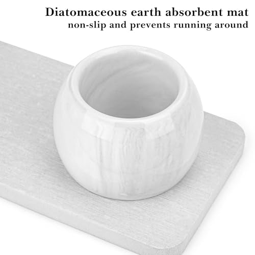 Ceramic Toothbrush Holder & Toothbrush Cup with Diatomite Tray for Bathroom, Bathroom Tumbler Cups Reusable Toothbrush Mouthwash Cup, Shower Counter Storage Organizer (Grey) - color: Grey Combination