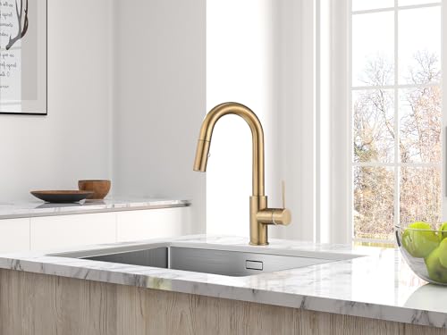 AS59CPBS Champagne Bronze Bar Faucet or Prep Kitchen Sink Faucet with Pull Down Sprayer and Single Handle - color: Champagne Bronze, style: Classic