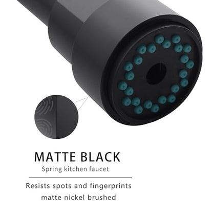 AIMADI Black Kitchen Faucet with 2 Function Sprayer,Commercial Stainless Steel Single Handle Single Hole Spring Matte Black Kitchen Faucet - color: Matte Black, style: Contemporary