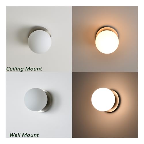 Wall Sconces, 1 Light Modern Globe Sconce in Brushed Nickel, Wall Light for Bedroom Bathroom Living Room & Hallway Vanity Lighting, Ceiling Light Fixture - color: Brushed Nickel, size: 1-Light