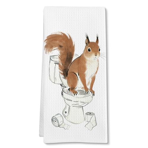 Funny Squirrel Hand Towels, Squirrel Gifts Hand Towel, Gifts for Squirrels Lovers Decorative Tea Dish Towels for Bathroom Washroom Toilet, Cute Forest Cabin Animal Bathroom Decor, 16x24in - color: Squirrel