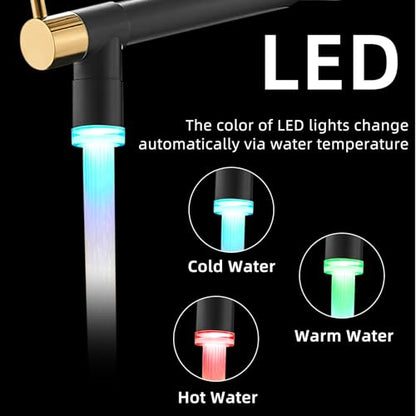Fapully LED Kitchen Faucet with Pull Down Sprayer,Black&Gold | Commercial Kitchen Faucet for Kitchen Sink - color: Black&Gold, style: Modern