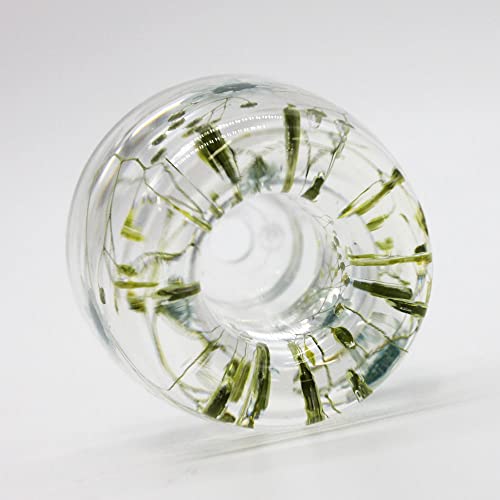 N&N Find Japan Japanese Toothbrush Holder Stand with Real Flower in Acrylic (Star Blue) - color: Star Blue