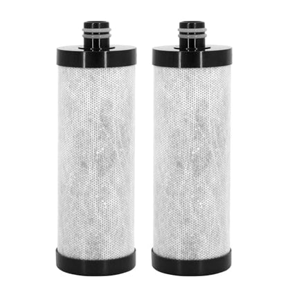 Lifefilter Carbon Shower Head Filter, 2.0 Carbon Shower Filter | Removes chlorine, heavy metals and other impurities from the water, improving dry skin and hair (2 Pack) - style: Carbon Replacement Filter