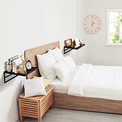 Tectocker-DOU 2 Pc Deep Floating Wall Shelves, Heavy Duty, 16x12, Black | Easy Install, All Hardware Included. Holds 40 Lbs. Easy-Clean. For Living Room, Kitchen, Bathroom, Bedroom, Office. - color: Black, size: 16W×12D