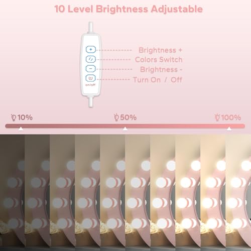 LED Vanity Lights For Mirror, Pink Vanity Light Stick on with 10 Bulbs | 3000K 4000K 6500K & 10 Level Brightness Adjustable USB Cable Hollywood Mirror Lights for Makeup Dressing Room Bathroom - size: 10 Lights (Pink)
