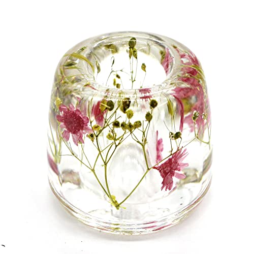Japanese Toothbrush Holder Stand with Real Flower in Acrylic (Star Pink) (NNFHTF-SPK) - color: Star Pink
