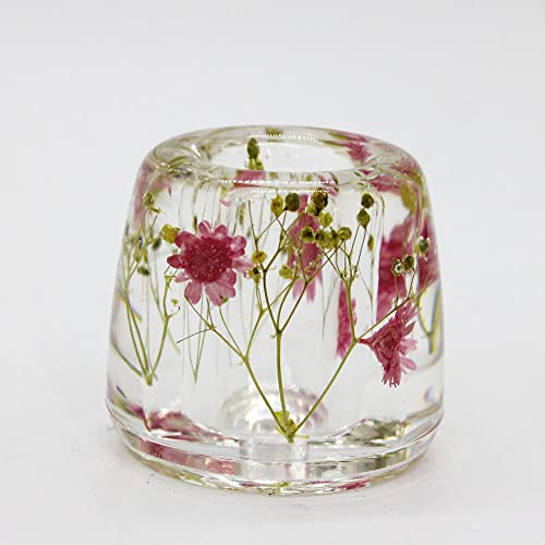 Japanese Toothbrush Holder Stand with Real Flower in Acrylic (Star Pink) (NNFHTF-SPK) - color: Star Pink