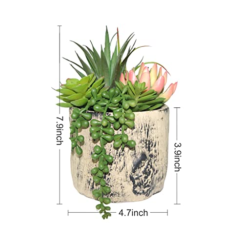Succulents Plants Artificial, Faux Succulent Plants in Elegant Ceramic Pot Assorted Faux Potted Succulent Plant for Home Living Rooms Bedroom Décor (7.9)