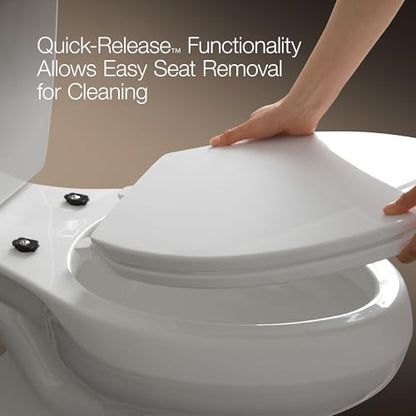 Kohler K-4662 Lustra Q2 Round Closed-Front Toilet Seat with Quick-Release and Qu, Seafoam Green
