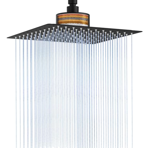 10-Inch Rain Shower Head with Filter, Matte Black | Stainless Steel, Wall Mounted