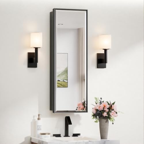 TokeShimi 12x36 Recessed Medicine Cabinet with Mirror Surface Mount, Aluminum Framed Metal Black Medicine Cabinet Mirrored, Bathroom Beveled Mirror with Storage Adjustable - color: Black, size: 12x36 IN