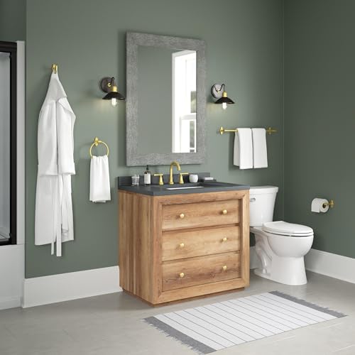 Franklin Brass Calloway (1-Pack) Toilet Paper Holder Satin Gold Euro Tissue Roll Holder Single Post Toilet Tissue Holder Wall Bathroom Accessories Bath Organization/Storage CLWY51-SG - color: Satin Gold