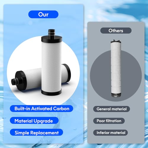 Lifefilter Carbon Shower Head Filter, 2.0 Carbon Shower Filter | Removes chlorine, heavy metals and other impurities from the water, improving dry skin and hair (2 Pack) - style: Carbon Replacement Filter