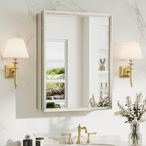 TokeShimi 20 x 26 Recessed Medicine Cabinet with Mirror, Assembly Required, Brushed Nickel Mirror Medicine Cabinet for Bathroom, Stepless Adjustable Shelves, Beveled Aluminum Frame, Tempered Glass - color: Brushed Nickel, size: 20x26 in