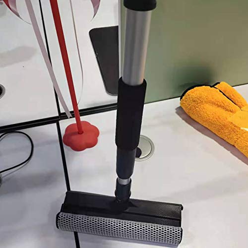 Beach Brush Windshield Cleaning Rubber for Sponge Extendable Window Squeegee Cleaning Supplies Mini Blind