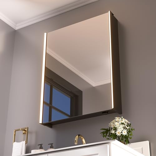 30 x 23-1/4 Inch LED Medicine Cabinet Lighted Bathroom Mirror, Defogger, Stepless Dimmable, 3000K/5500K Color Temperature Wall Mounted, Adjustable Shelf, Black