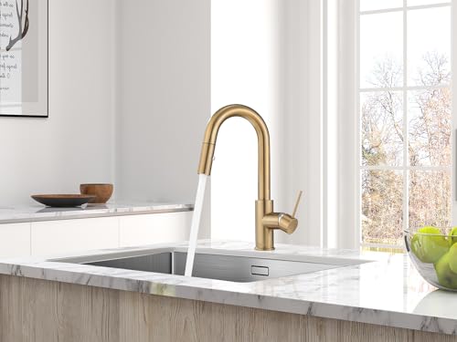AS59CPBS Champagne Bronze Bar Faucet or Prep Kitchen Sink Faucet with Pull Down Sprayer and Single Handle - color: Champagne Bronze, style: Classic