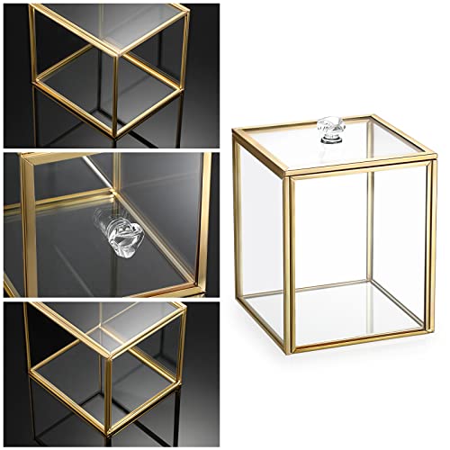 Hipiwe 2 Pack Glass Qtip Holder Dispenser With Lid Gold Bathroom Containers | Vanity Canisters for Cotton Balls Makeup Sponges Bath Salts Candles, Countertop Storage Organizer Jar