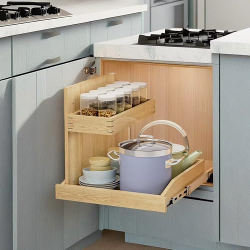 22½"W x 21" D 2-Tier Under Sink Pull Out Organizer, Hard Close Sliding Shelf with U Bracket, Left-Side Adjustable Storage for Kitchen & Bathroom - color: Hard Close-left Side