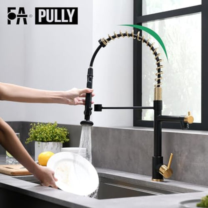 Fapully Black&Gold Kitchen Faucet with Sprayer,Commercial Pull Down | Kitchen Faucet for Kitchen Sink, 360 Swivel Sinlge Handle Single Hole - color: Black&Gold, style: Classic