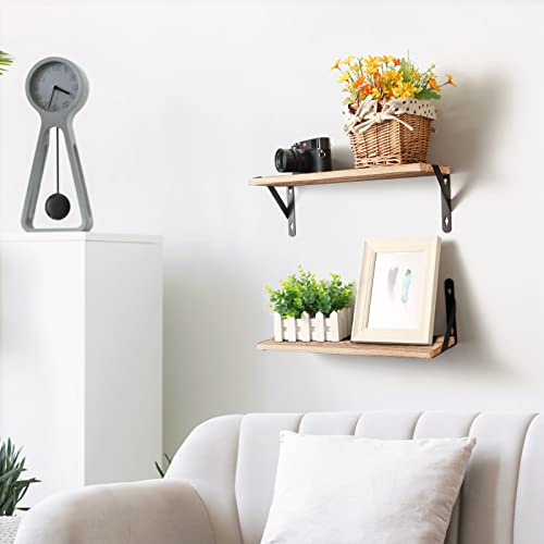 AGM Wall Mounted Shelves Set of 2, Rustic Dark Wood Wall Floating Shelves for Bedroom, Living Room, Kitchen, Laundry Room Storage & Decoration-Light Brown | Light Brown Wall Shelves for Bedroom, Living Room, Kitchen, and Laundry Room Storage and Decoratio