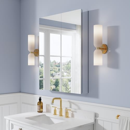 28" x 36" Bathroom Medicine Cabinet with Mirror, Anodized Chrome Aluminum Frame, Surface Mount or Recessed Medicine Cabinet with Mirror, Bathroom Mirror with Storage, Double Doors - size: 28"x36"-A