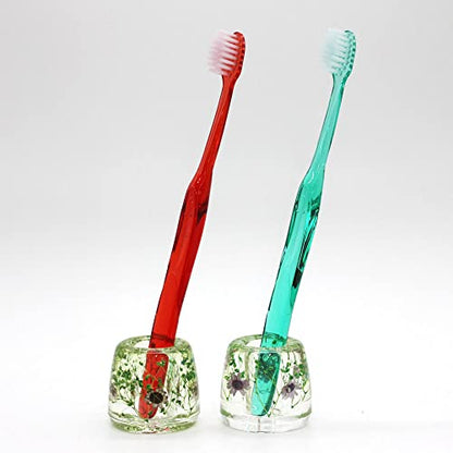 N&N Find Japan Japanese Toothbrush Holder Stand with Real Flower in Acrylic (Star Purple) - color: Star Purple